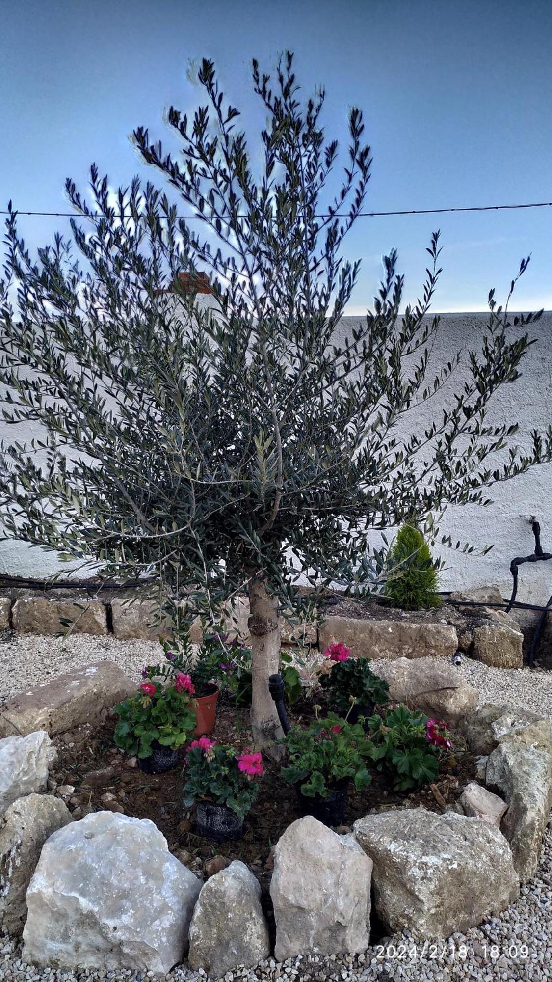 Casa Cueva El Olivo Villa Pegalajar Eksteriør bilde